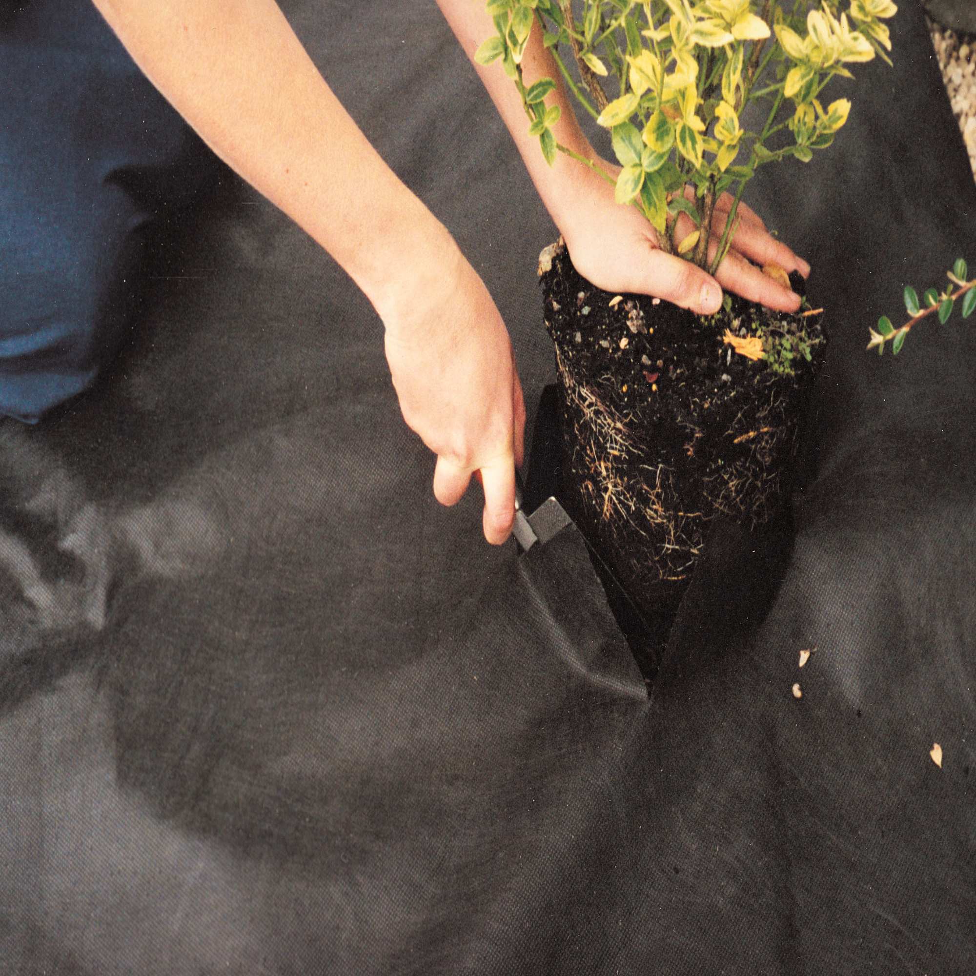 Weed Control Fabric Groundcover 50gsm - Weed Control Fabric | Green-tech