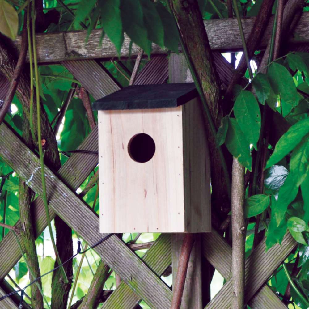 Bird Nesting Boxes