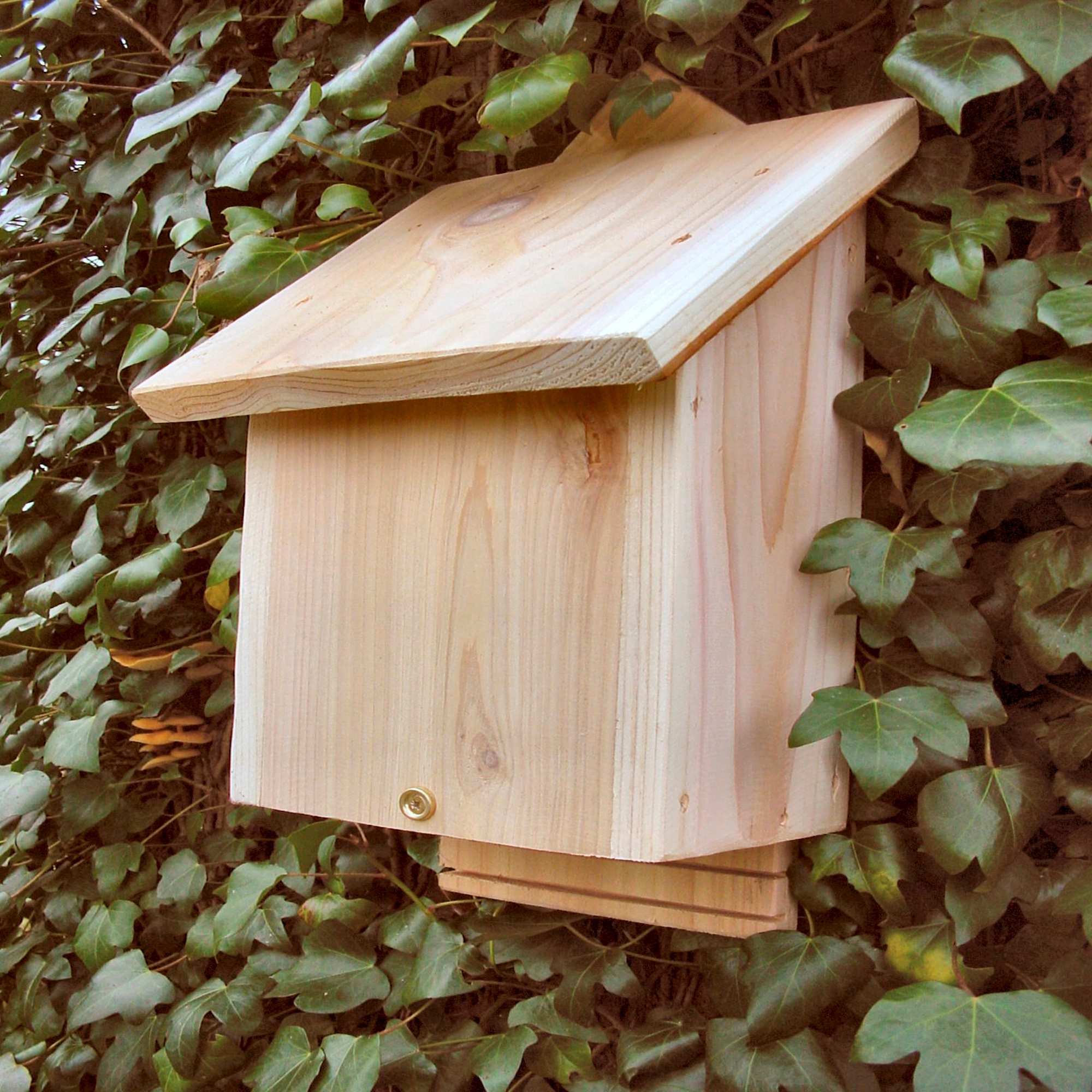 Chavenage Bat Box Wildlife Nest Boxes Greentech