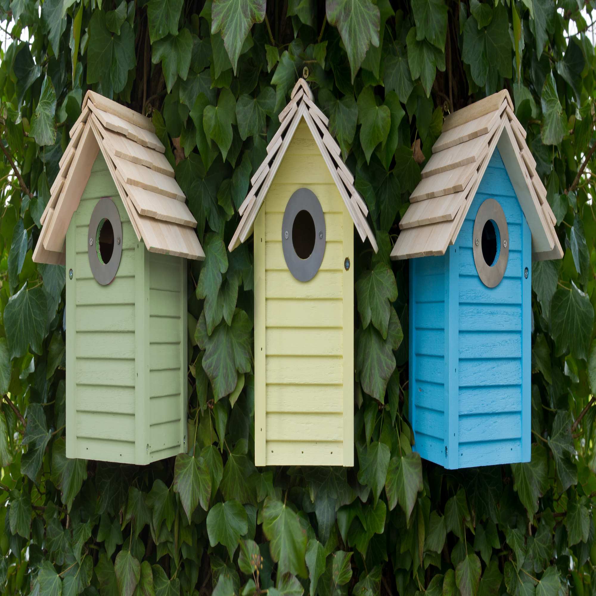 Wildlife Nest Boxes  Green-tech