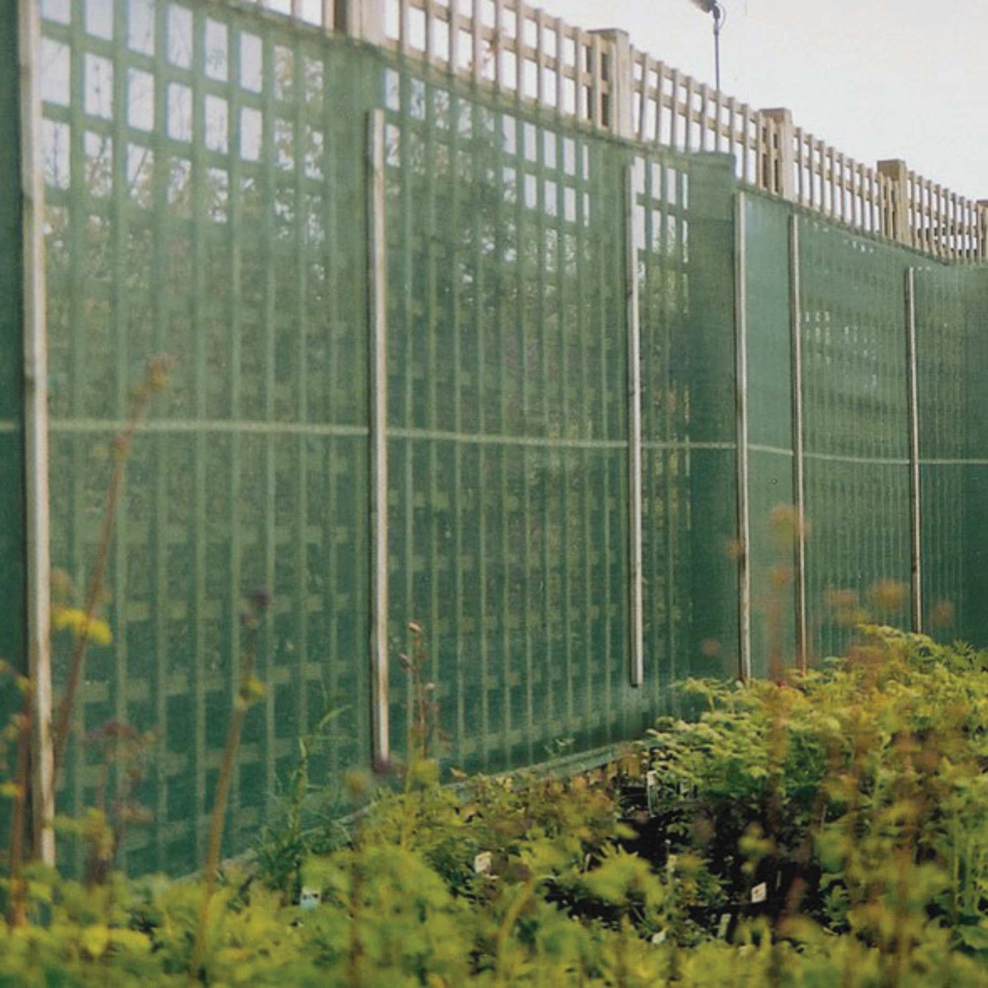 Agricultural Windbreaks